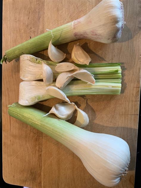 Die Dosis macht das Gift - Knoblauch - MY BEST FRIEND