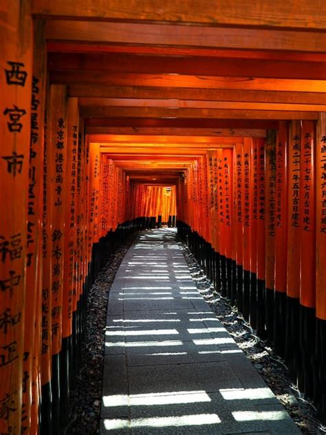 Kyoto Recommended Attractions: Firsthand Review & Guide | TRAVEL JAPAN ...