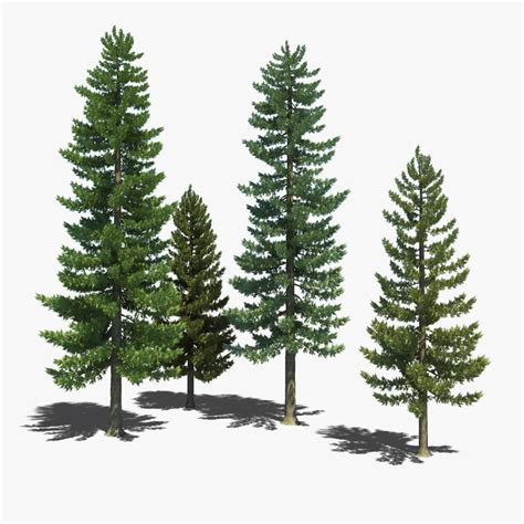 3d Pine Tree Model