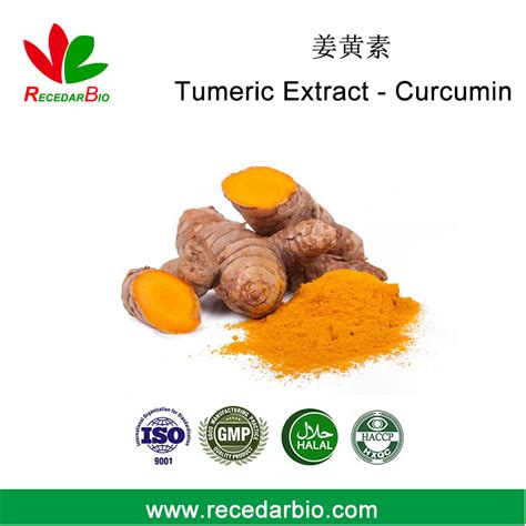 Natural 95 HPLC Curcumin Tumeric Root Extract Powder With Bulk Price