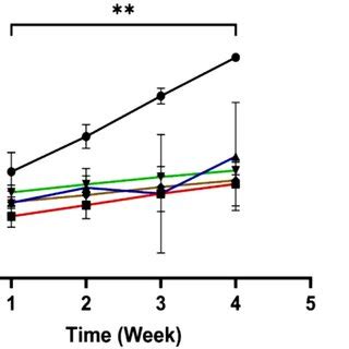 Mean Body Weight Of Female Rats Exposed To CuO ZnO Core Shell NPs At 5