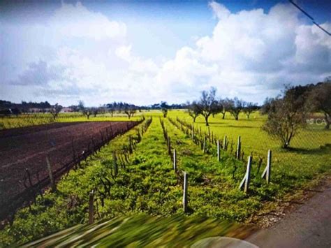 Terreno Venda Em Arazede Montemor O Velho Idealista