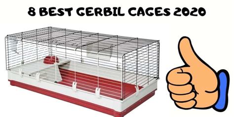 8 Best Gerbil cages | Complete Gerbil Cage Review 2023