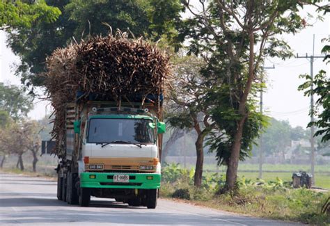 Bangkok Post Farmers Call For Higher Sugar Cane Price