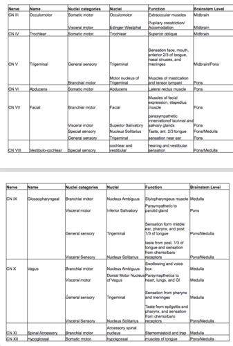 Neuroscience Module 4 Flashcards Quizlet