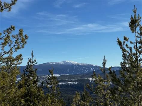 Best Forest Trails In Big White Alltrails