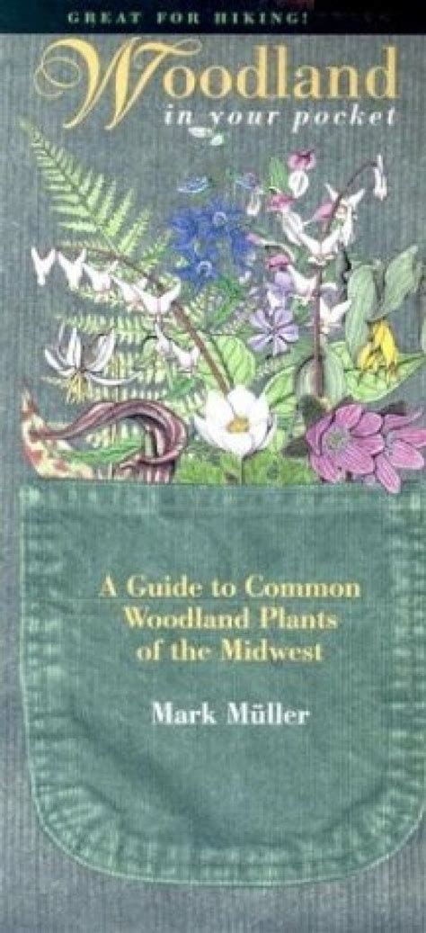 Woodland In Your Pocket A Guide To Common Woodland Plants Of The