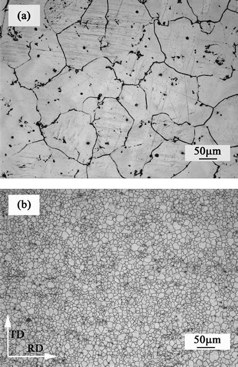 Optical Micrographs Of Mg Al Sn Y Nd Alloy A Homogenized