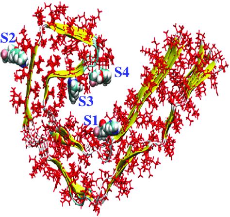 Representation Of A Tau Protofibril Showing Four High Affinity Binding