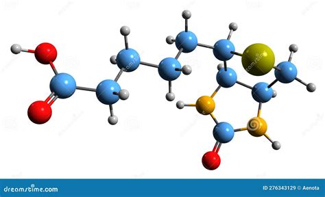 3D Image of Biotin Skeletal Formula Stock Illustration - Illustration ...