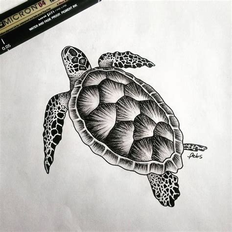 Turtle #3 in 2024 | Turtle drawing, Turtle tattoo designs, Sea turtle drawing