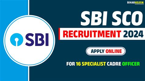 Sbi Sco Recruitment 2024 Apply Online For 16 Specialist Cadre Officer