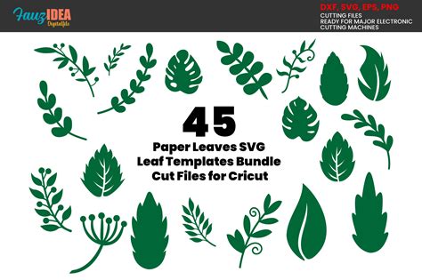 Leaves Svg Laurel Leaves Svg Eucalyptus Leaves Svg Branches Svg Leaf