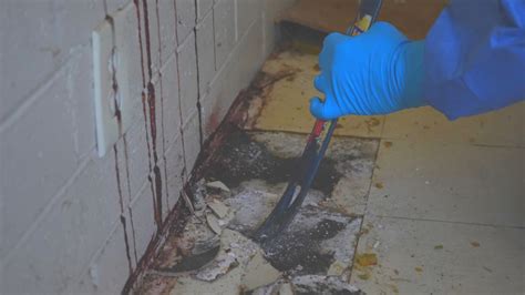 Snohomish Crime Scene Cleanup Steri Clean®