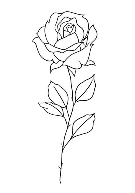 Pin By D Kula On Ipad Szkice Rose Drawing Tattoo Line Art Tattoos