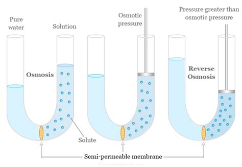 Reverse Osmosis System Definition Process Uses