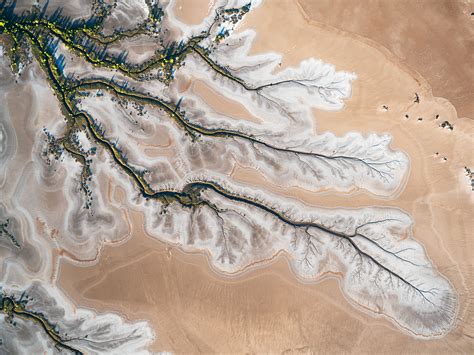 Forge Your Own Path – Dylan Fox Photography – Luxury Fine Art Photography