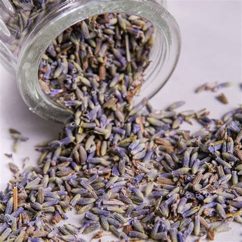 Dried Lavender Flowers for DIY Skincare - Better Shea Butter