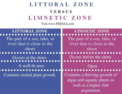 What is the Difference Between Littoral and Limnetic Zone - Pediaa.Com