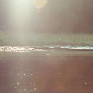 Photos Videos Male Celebrities Naked Cont Page LPSG