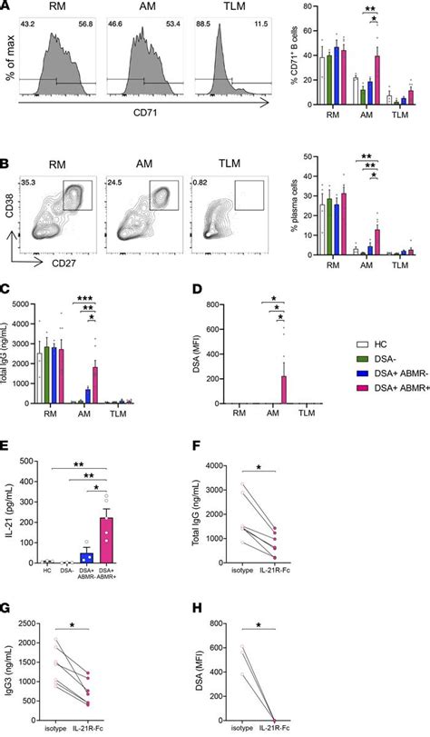 Jci Insight T Betcd27cd21 B Cells Poised For Plasma Cell