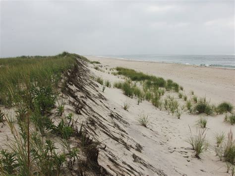 Coastal Habitats — CCE Marine Digital Education