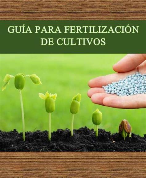 Guía Para Fertilización De Cultivos Corporación Biológica