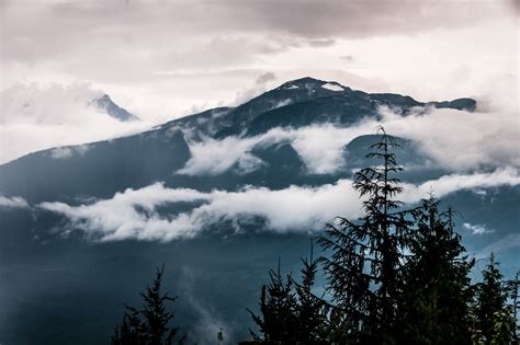 Mount Revelstoke National Park, British Columbia