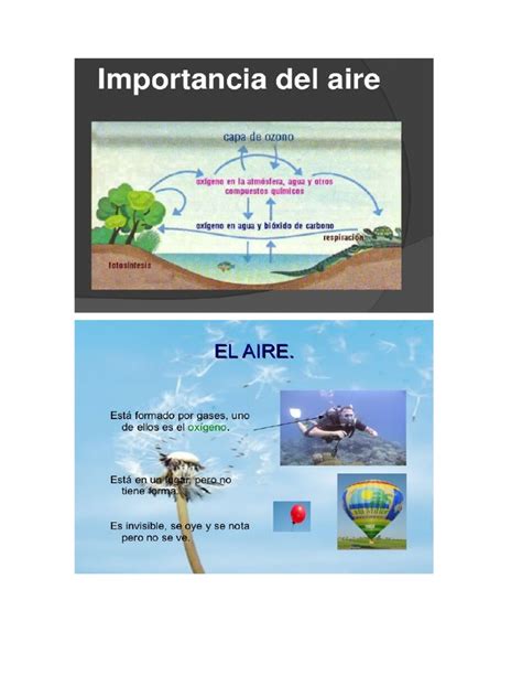 Importancia Del Aire Pdf