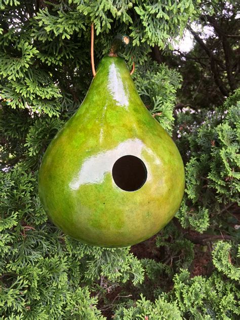 Gourd Birdhouses Special 2 Stained Handmade Etsy