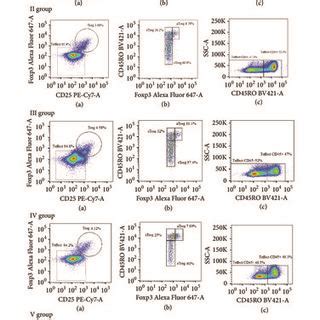 Representative Flow Cytometric Dot Plots Of The T Cell Subsets In