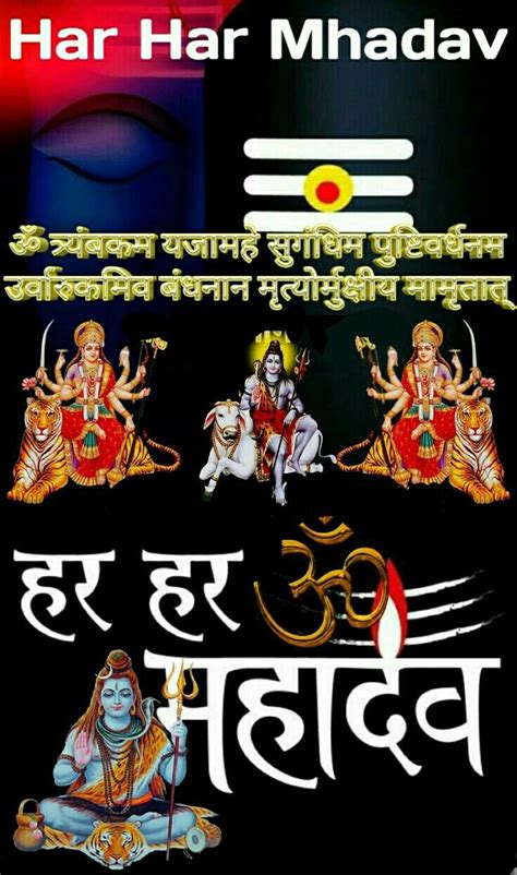 Pin By Gopesh Avasthi On SHRI MAHADEV Lovely Good Morning Images