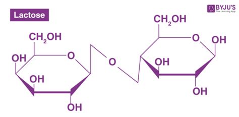 Disaccharides - Definition, Function, Structure & Examples