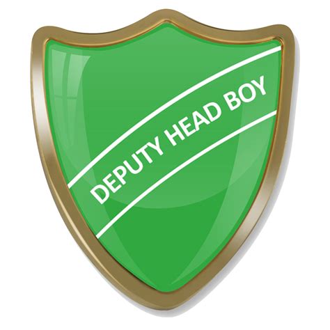 Deputy Head Boy Shield Badge Choice Of 12 Colours High Quality Metal