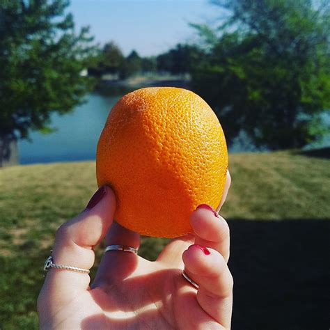 What Happens When You Become Vegetarian (Almost Vegan) For a Month