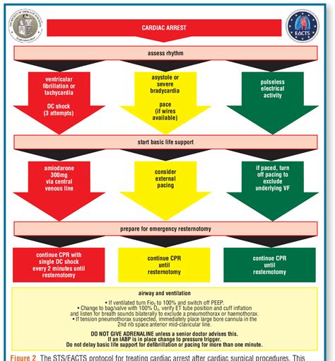 Pdf Cardiac Arrest After Cardiac Surgery An Evidence‐based