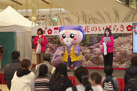 2019 春の観光キャンペーン～めぐる、つながる、花のいばらき＠イオンモール北戸田 シナモン・スティック2019