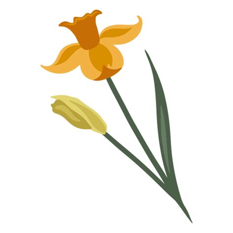 Diseño Png Y Svg De Narciso Flor Amarilla Para Camisetas