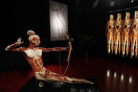 In Photos Gunther Von Hagens 10th Anniversary Of Plastination The