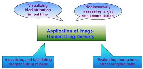 Application Of Image Guided Drug Delivery Image Guided Drug Delivery