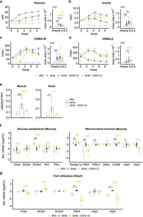 O Treatment Mitigates Hyperglycemia Induced Islet Gene Expression