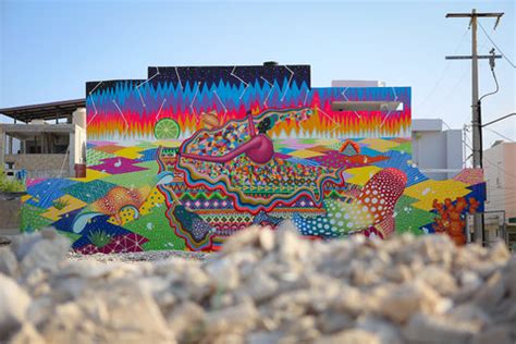 On a Mexican Island, Murals With a Conservation Message - The New York Times