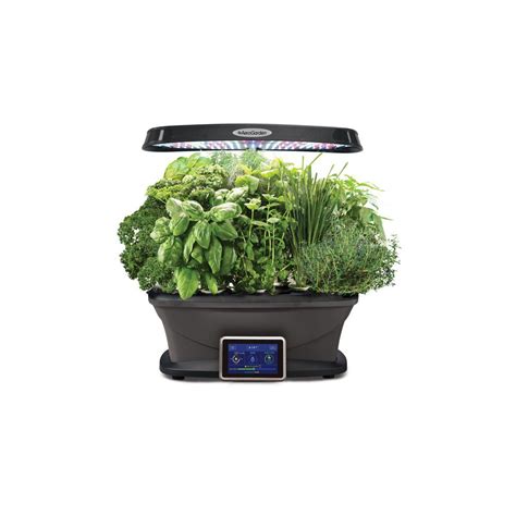 Aerogarden Bounty Indoor Hydroponic Herb Garden With Gourmet Herb Seed Kit In Black The Home