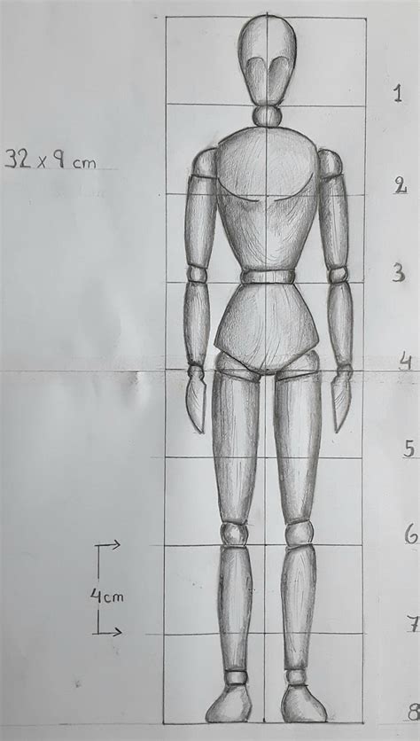 Proporciones De La Figura Humana