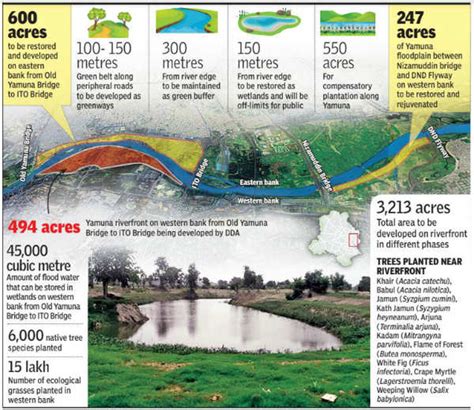 How DDA Is Giving A New Lease Of Life To Yamuna One Bank At A Time