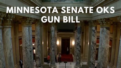 Minnesota Senate Passes Public Safety Bill Including Gun Proposals