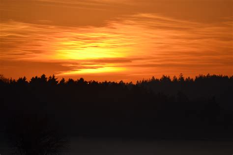 Free Images Landscape Tree Horizon Cloud Sun Sunrise Sunset