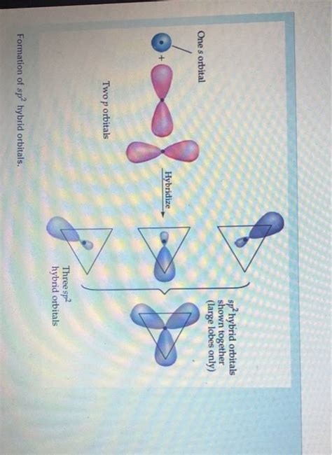 (Get Answer) - What Is The Angle Formed Between The Large Lobes Of The ...