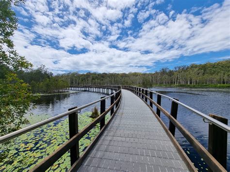 urunga wetlands boardwalk destinations journey
