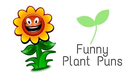 75 Hilarious Plant puns To Brighten Your Day - Laughitloud